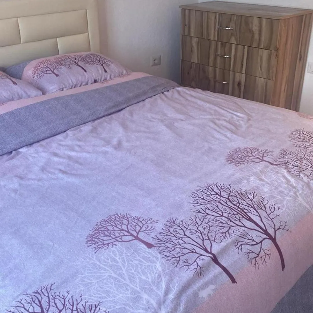 Apartmán Joel Property Pogradec